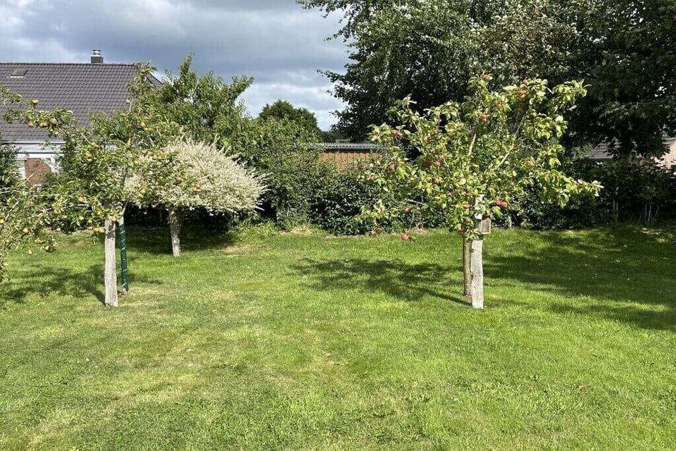 Garden [summer]