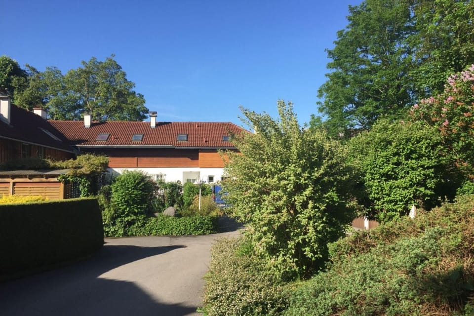 View from Holiday Home [summer]