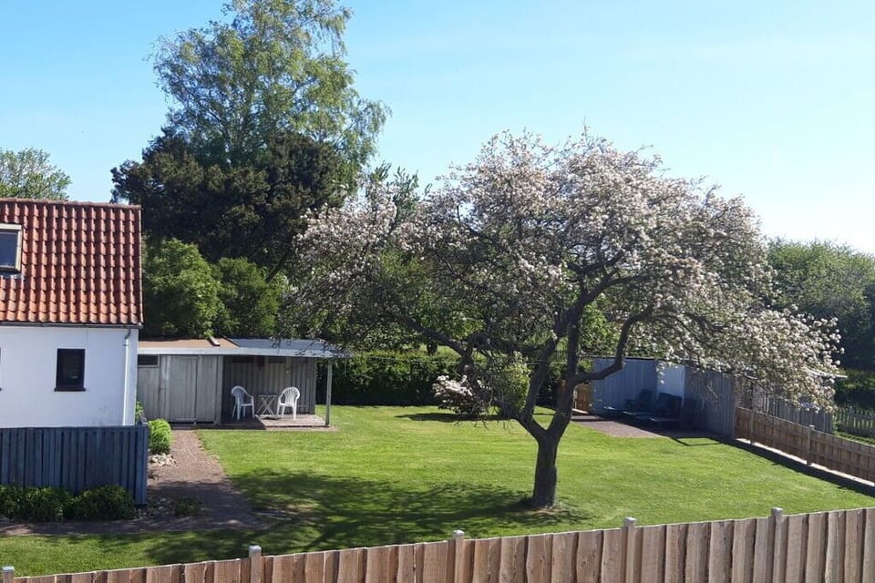 Garden [summer]