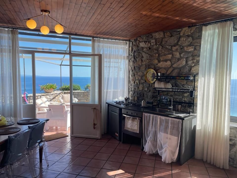 Panoramic Villa | Private kitchen | Full-size fridge, microwave, oven, stovetop
