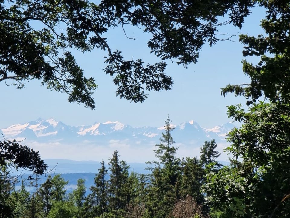 Aussicht Alpensicht