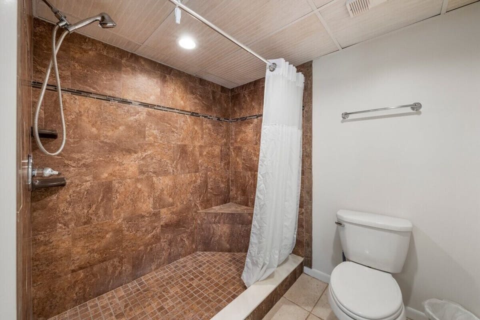 Master bathroom walk-in shower