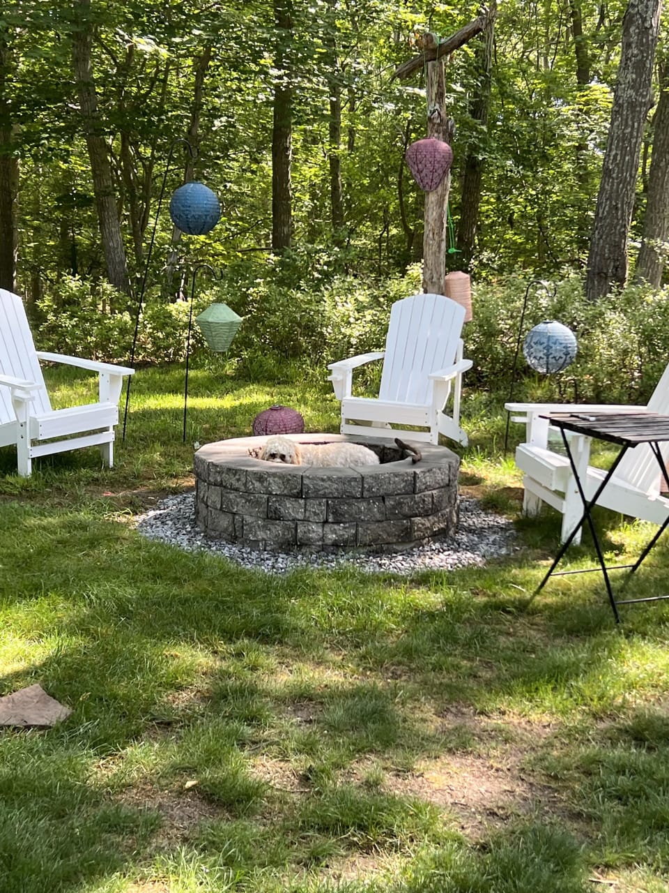 Outdoor firepit- doggie not included :)