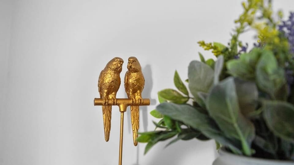 cute things :)