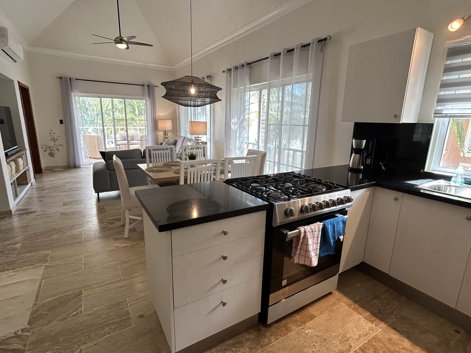 Large Bright Open Condo 