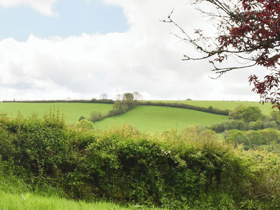 View | Madderhay - Lanwithan Cottages, Lostwithiel