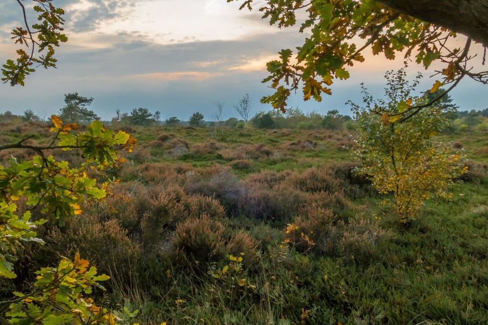 Surroundings [summer] (1-5 km)