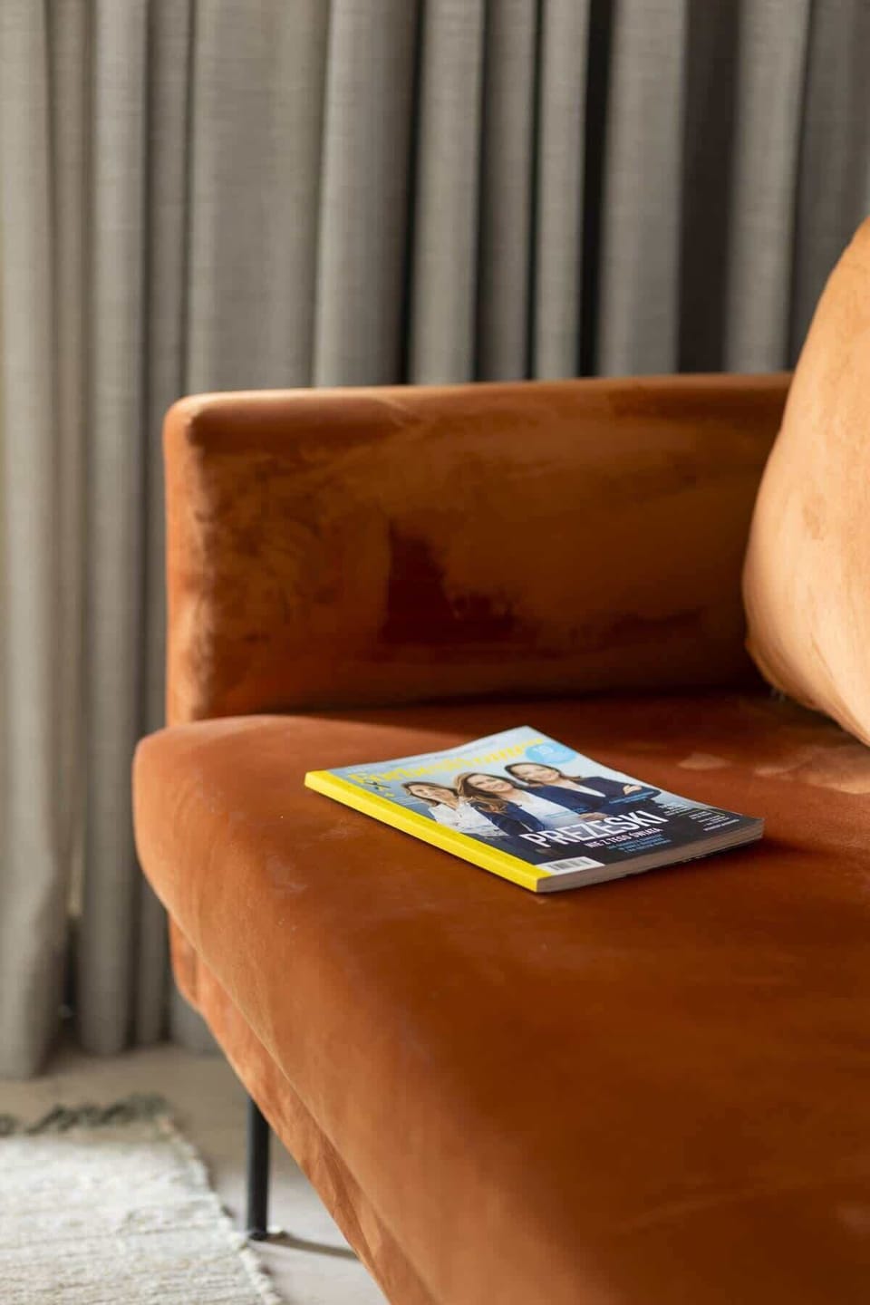 Details in the living room/sofa bed.