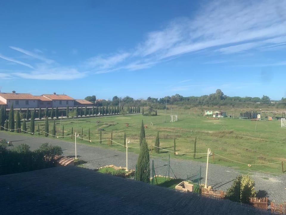 View from room