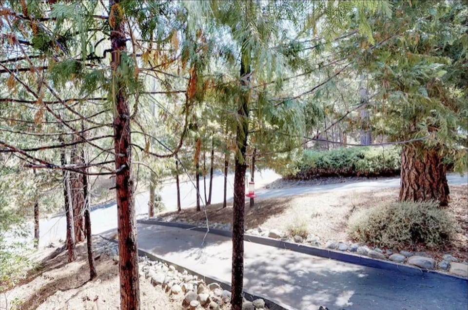Driveway