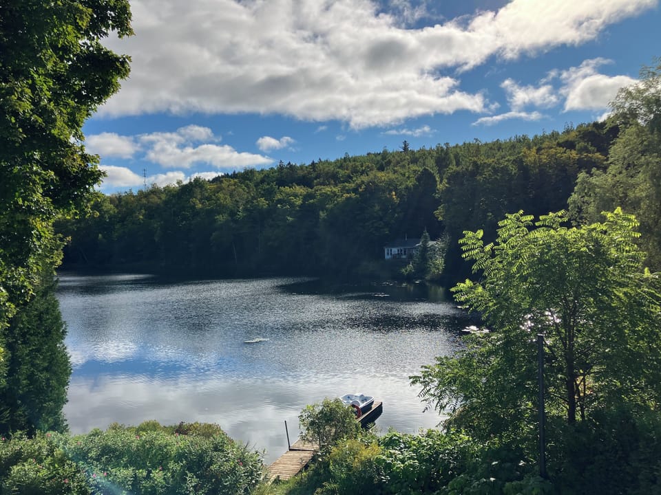 Lake view in the Autumn
