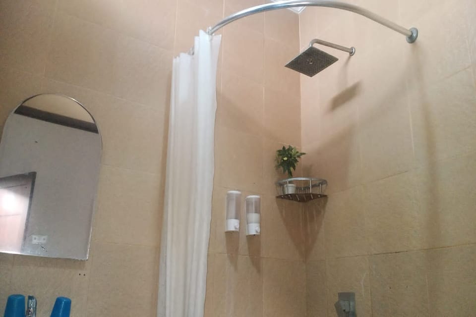 Deluxe Room | Bathroom | Shower, rainfall showerhead, free toiletries, hair dryer