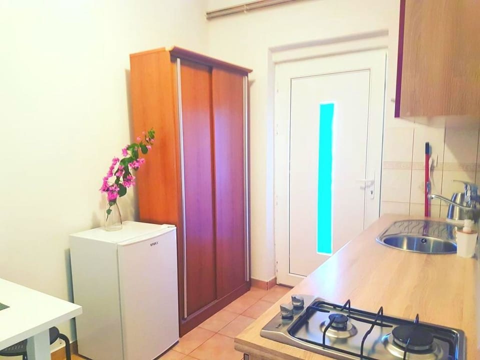 Apartment, 1 Bedroom, Balcony, Garden View | Private kitchen