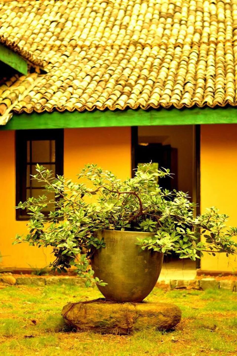 Villa | Exterior