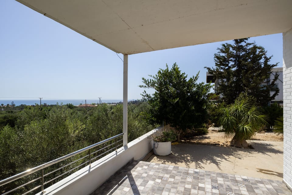 House | Property grounds