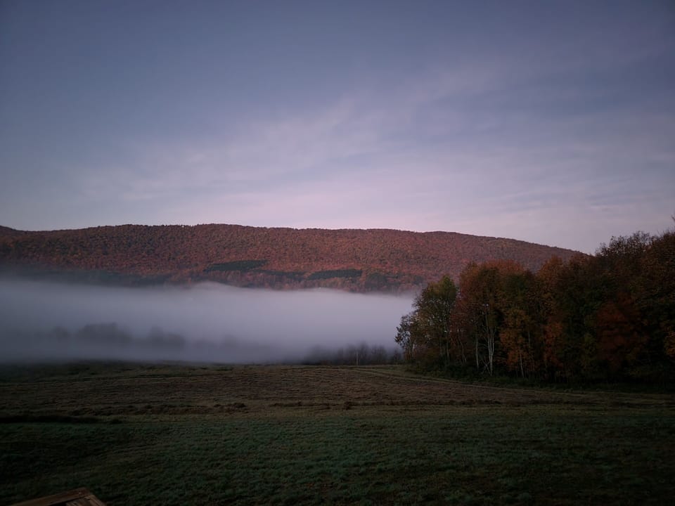 Beautiful Morning View