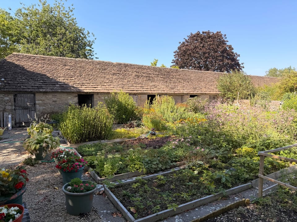 Image 22