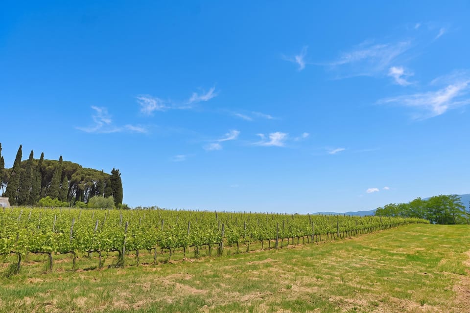 Family House, 2 Bedrooms, Refrigerator & Microwave (Tuscan Home Rignano Private Garden) | Miscellaneous
