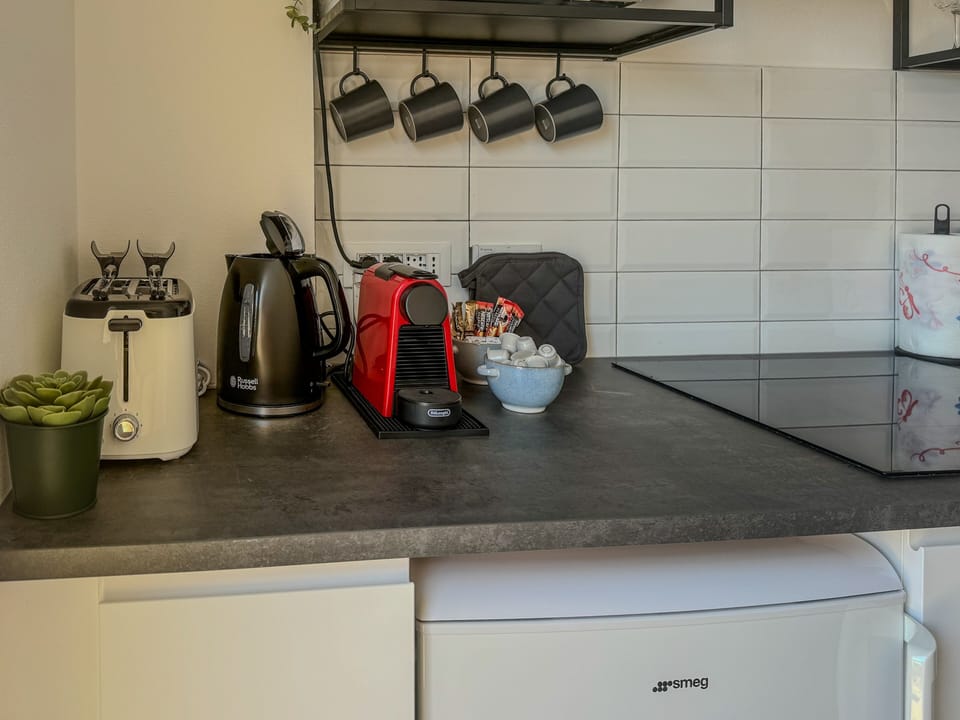 Apartment, 1 Bedroom, Terrace | Private kitchen | Fridge, oven, stovetop, espresso maker