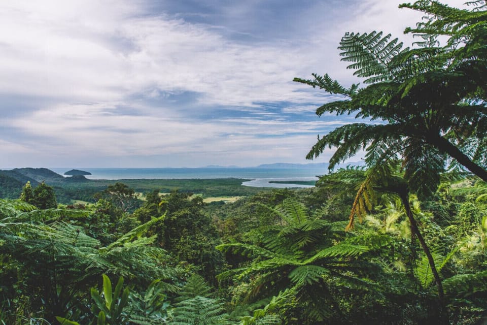 The mighty Daintree