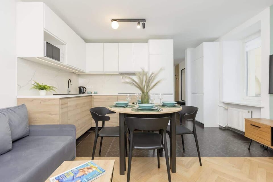 Living area equipped with double sofa bed, TV and kitchenette