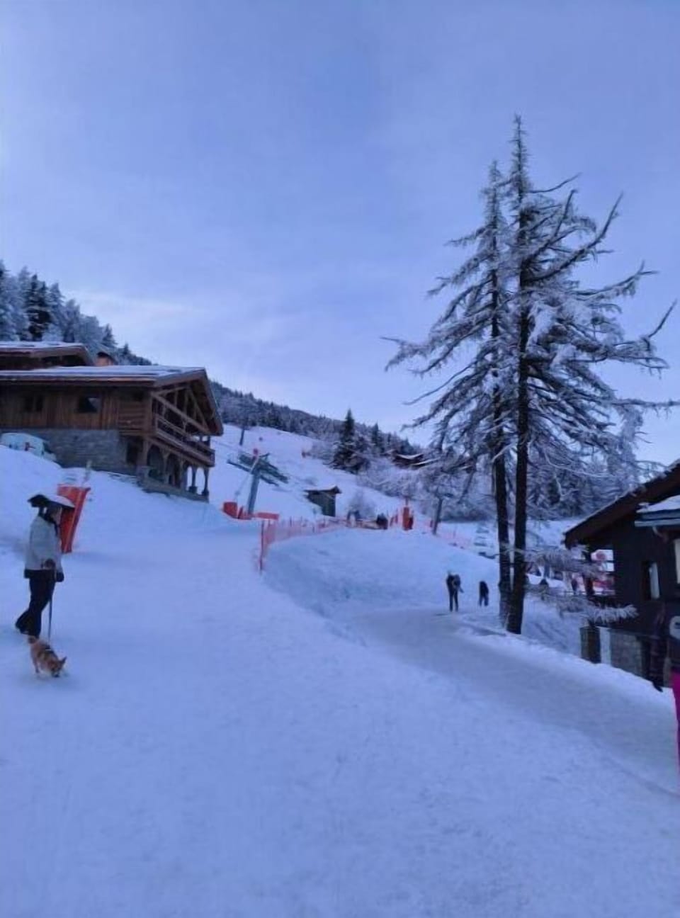 Snow and ski sports