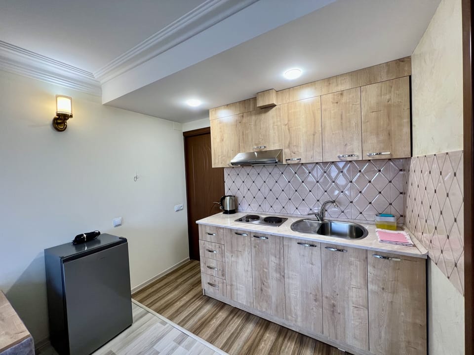 Deluxe Apartment | Private kitchen | Fridge, microwave, toaster, blender