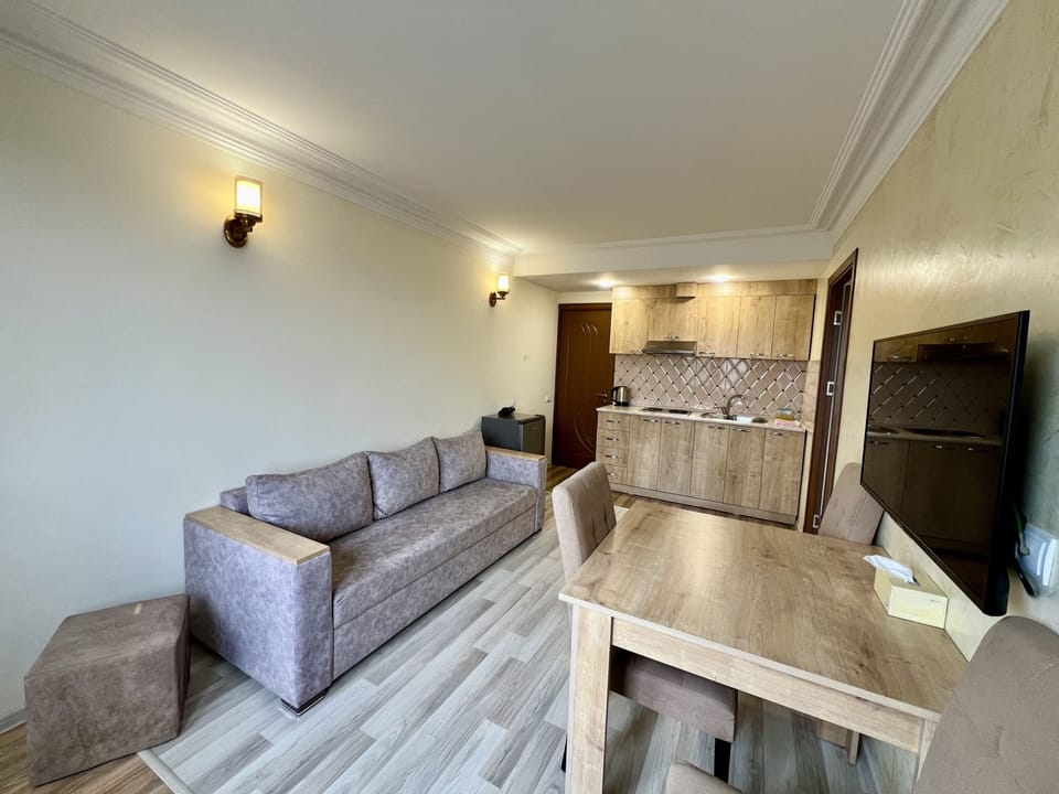Deluxe Apartment | Living area | 100-cm LED TV with cable channels
