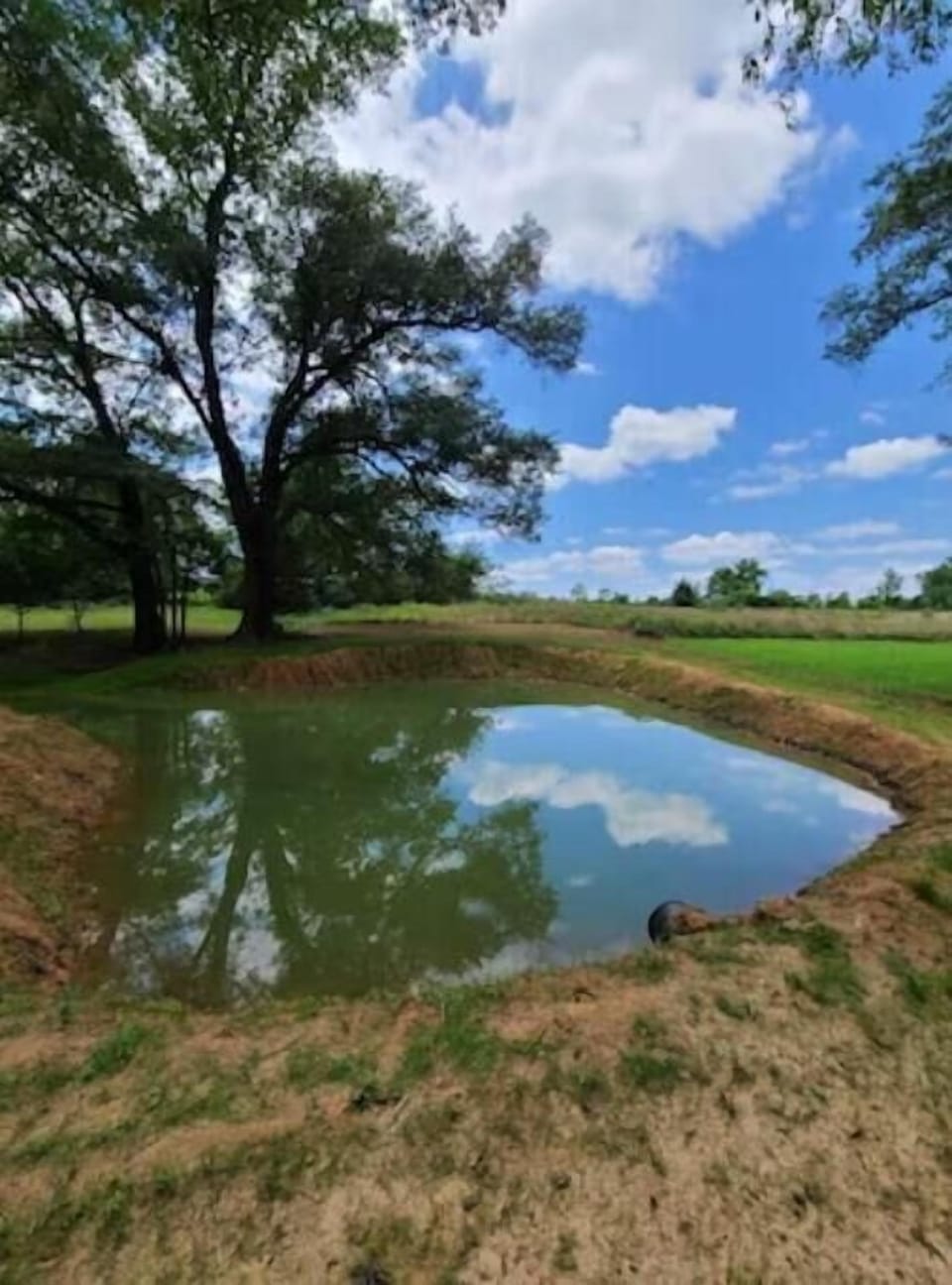 Catch & Release pond
