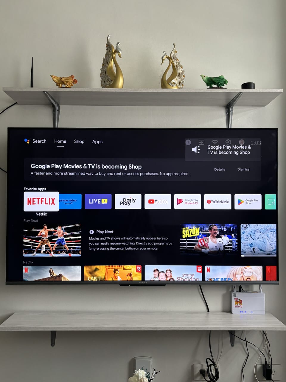 Television