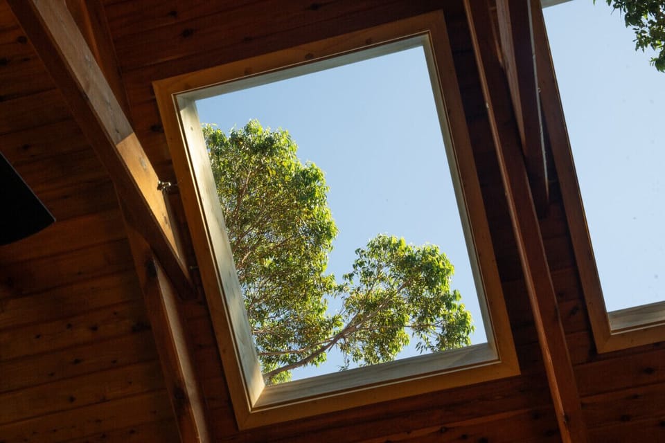 Skylights throughout for beautiful natural light in living and bathroom areas