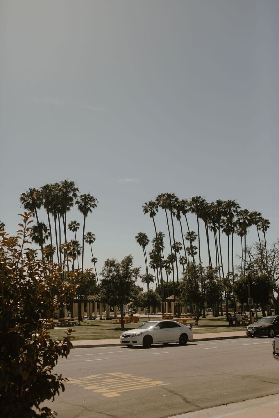 Nearby Max Berg Park
