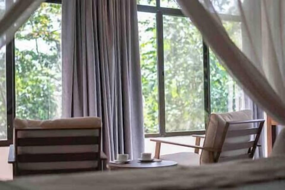 Luxury and comfort await in this serene rainforest retreat. (2)