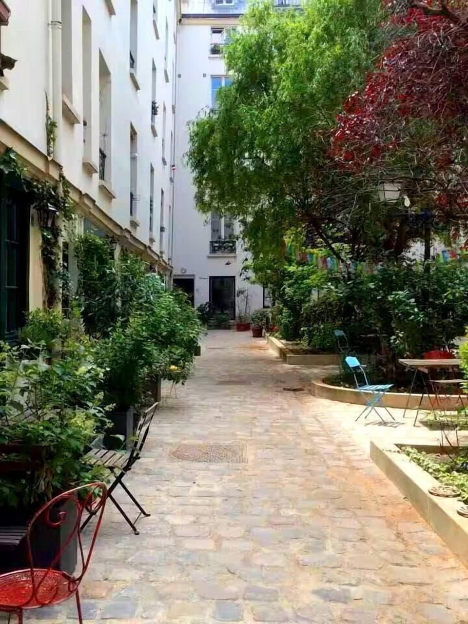 Belle cours arborée