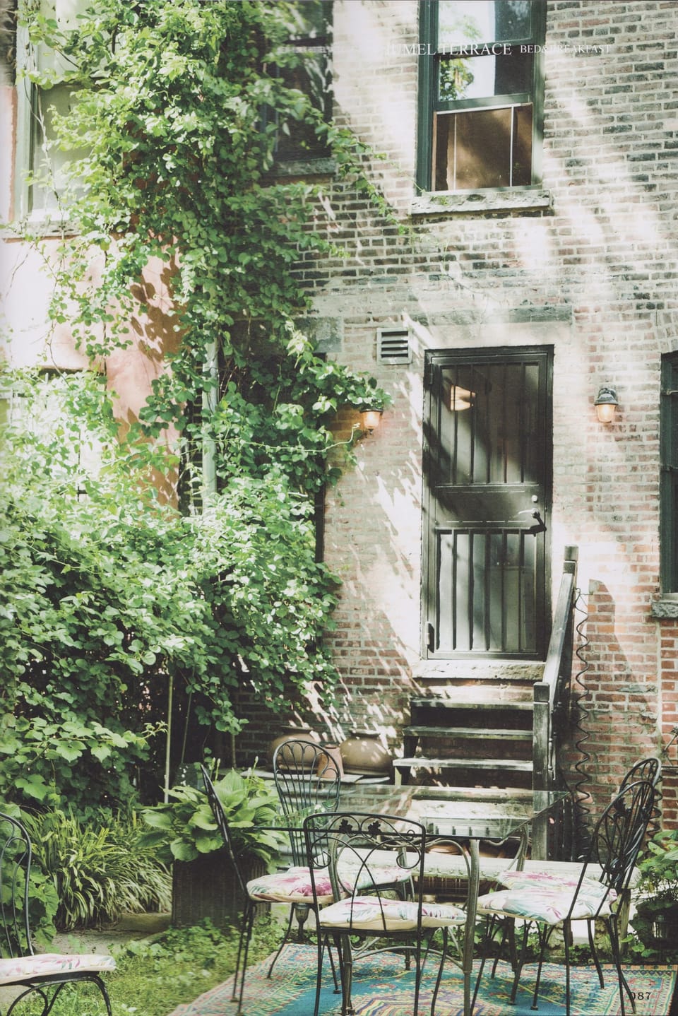 Into the garden.