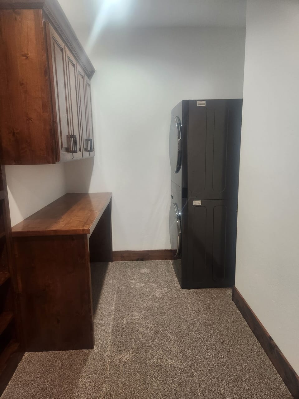 Master closet with laundry 