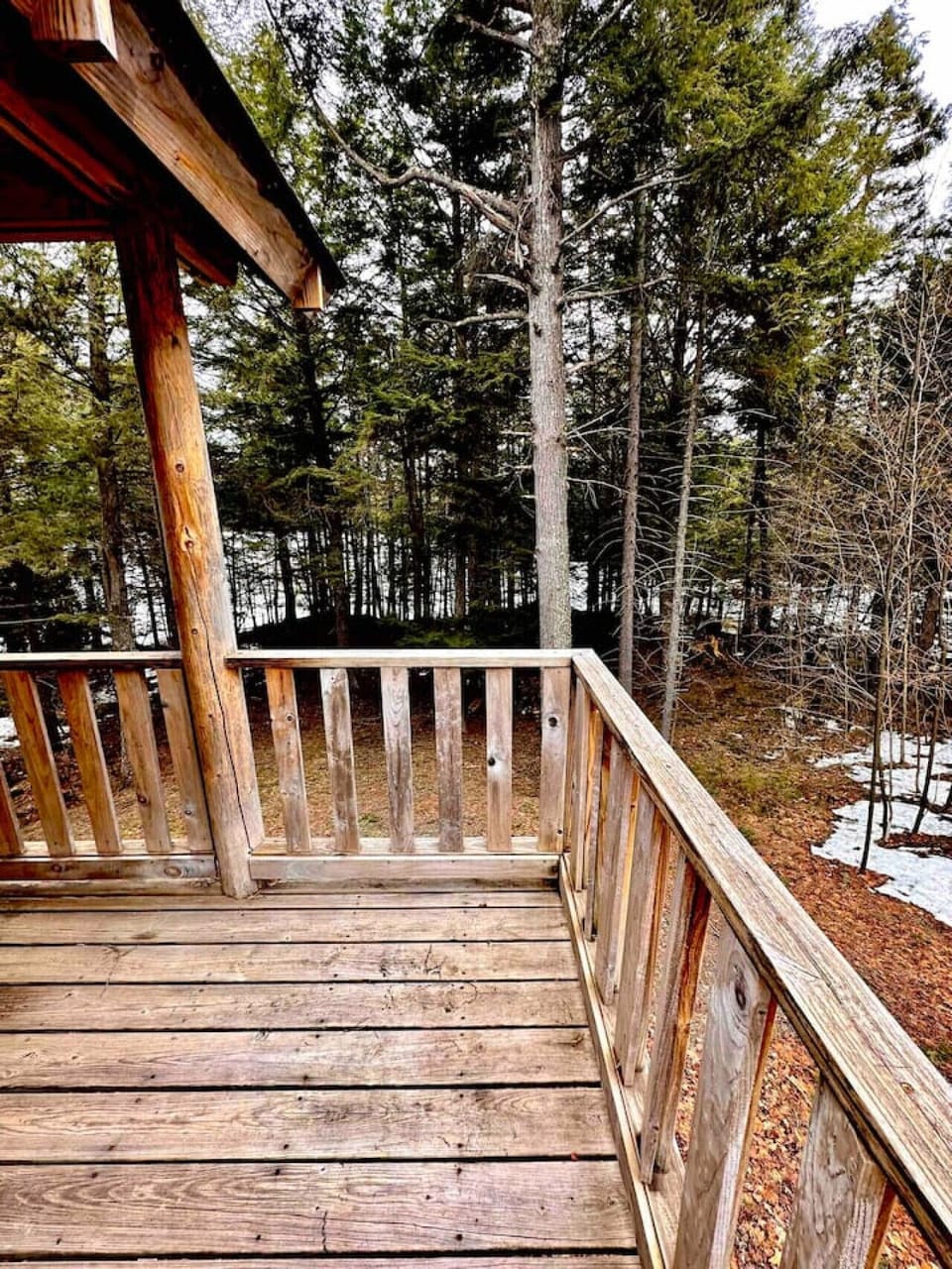 View from the Porch