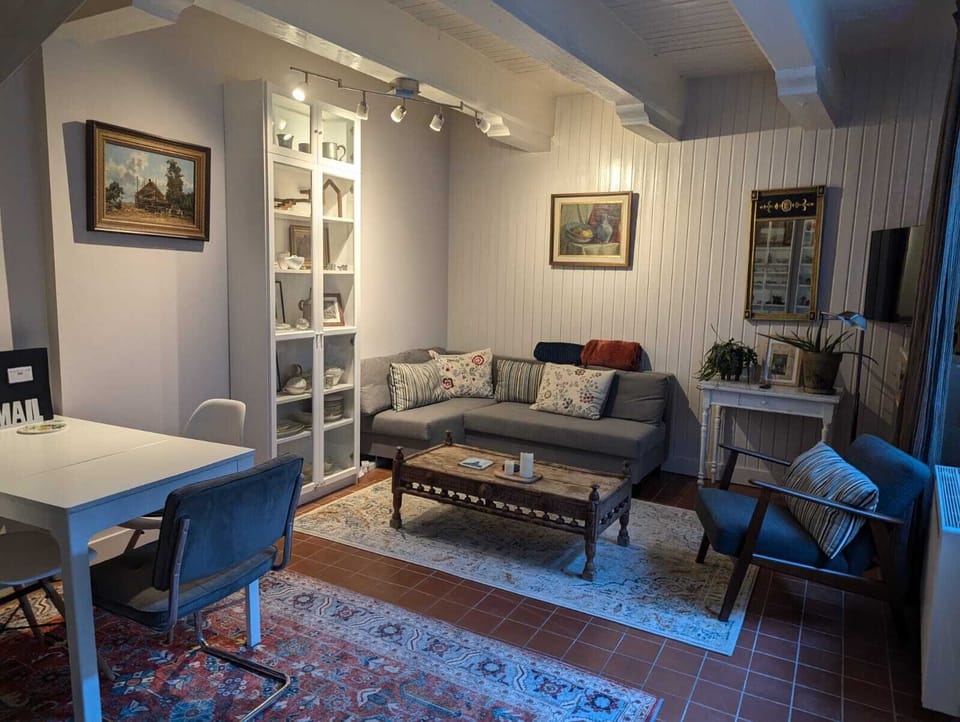 Cozy living room with a sofa bed, with plenty of natural light.