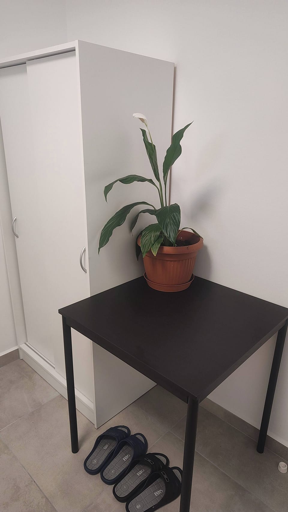 Apartment, 1 Bedroom, Smoking, Terrace | Interior