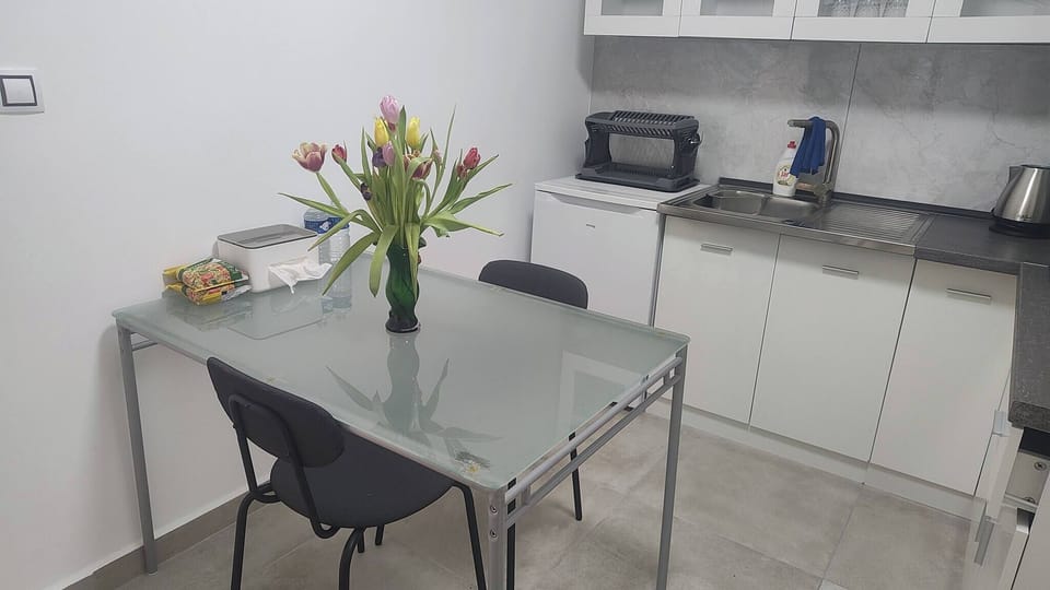 Apartment, 1 Bedroom, Smoking, Terrace | Dining room