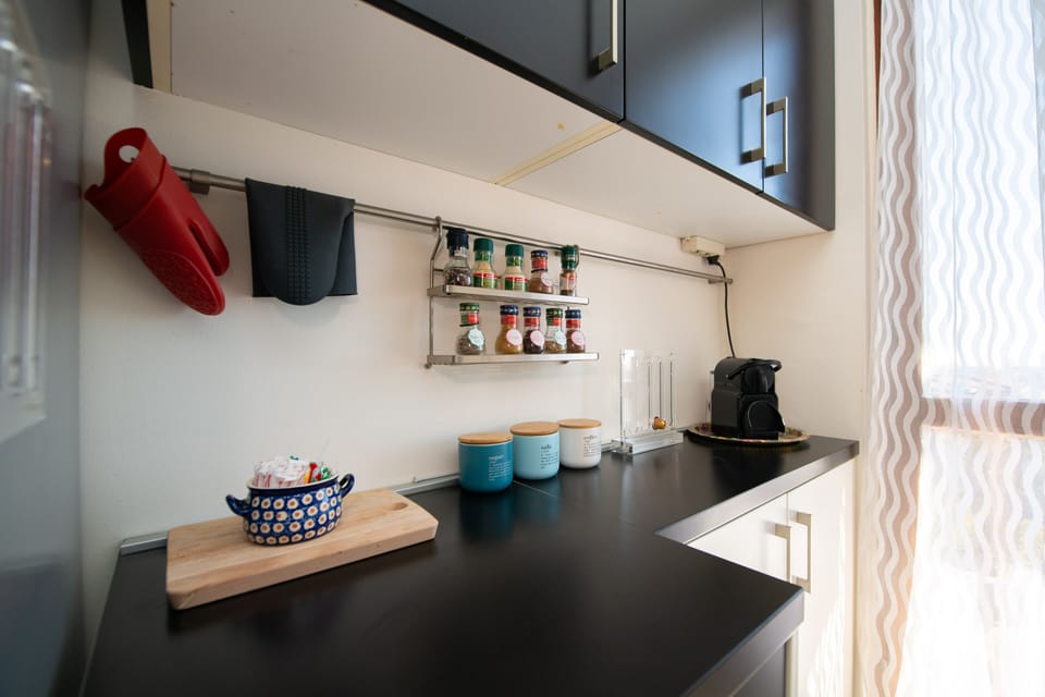 Deluxe Apartment | Private kitchen | Full-size fridge, microwave, dishwasher, coffee/tea maker