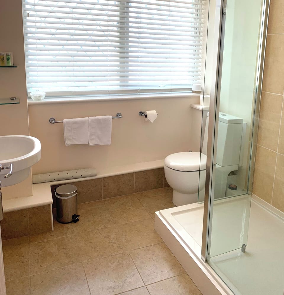 Classic Twin Room | Iron/ironing board, free WiFi, bed sheets