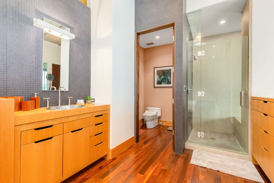 Guest Bathroom with Separate Shower