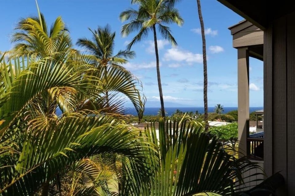 Condo, 1 Bedroom | Beach/ocean view