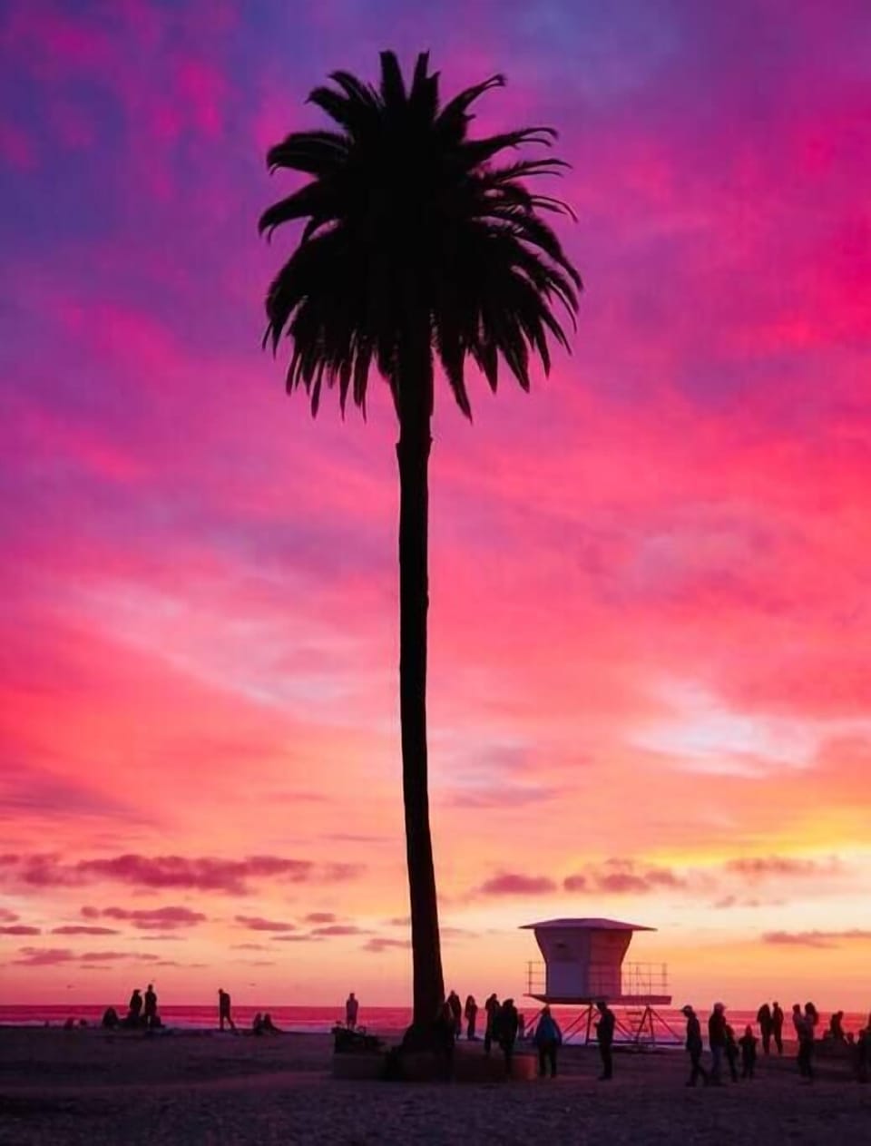 Moonlight beach 