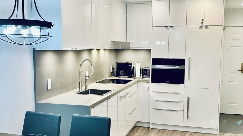 Fully renovated kitchen