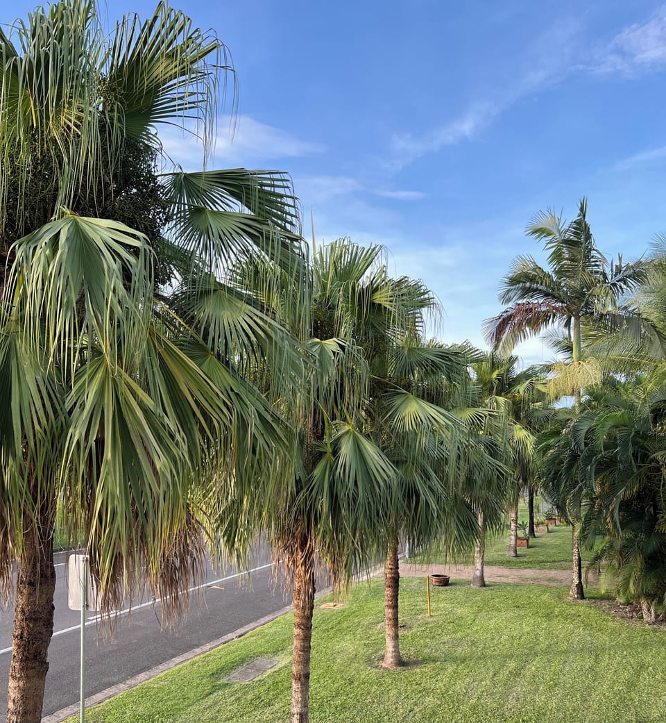 Premium Apartment, 1 Bedroom, Kitchen, Garden View | Garden view