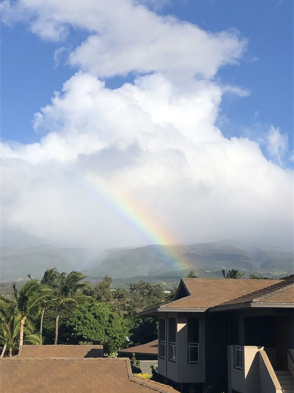 View from Mountain Side Suite Lanai
