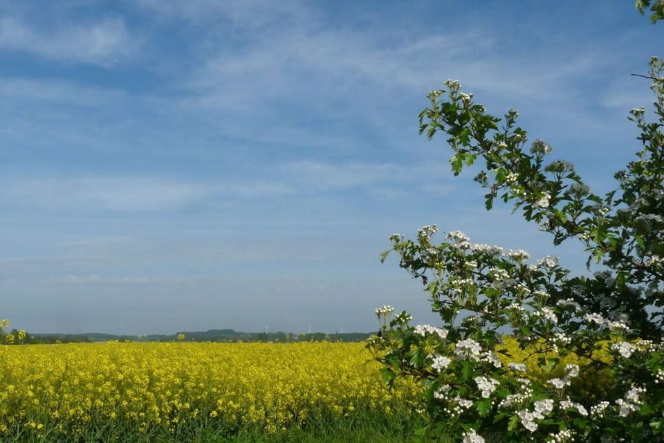 Immediate Surroundings [summer] (<1 km)