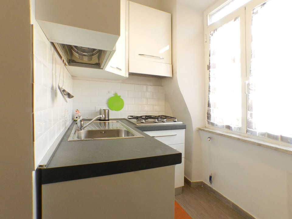 Full-size fridge, microwave, stovetop, toaster